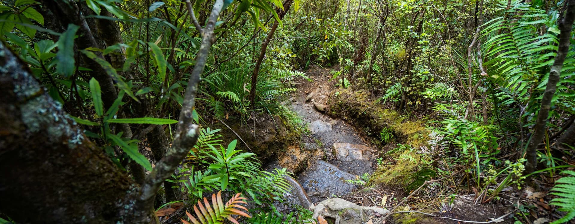 Wilderness Trekking Route