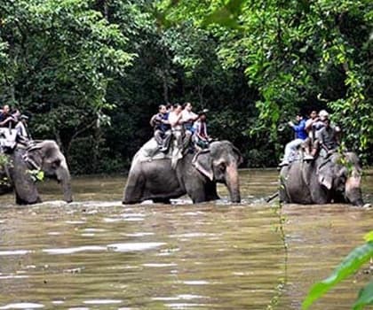 Chitwan Jungle Safari