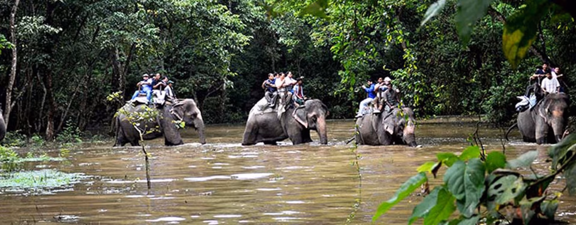 Chitwan Jungle Safari